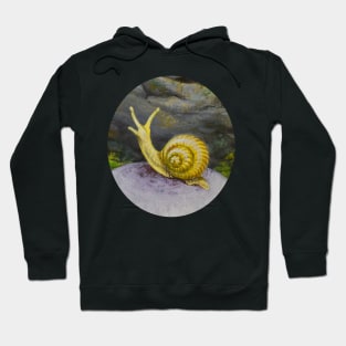Painted Yellow Snail Moves Through Life Slowly Hoodie